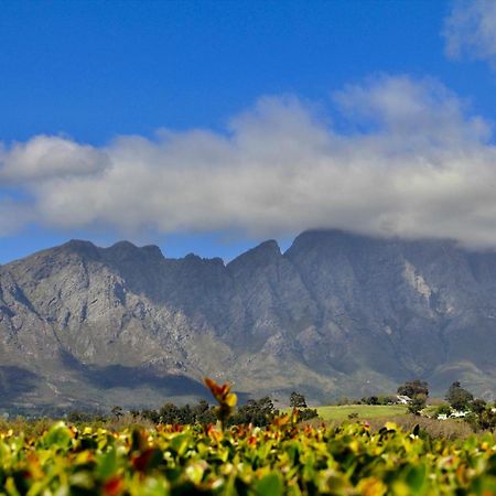 Sugarbee Cottages Franschhoek Exterior photo