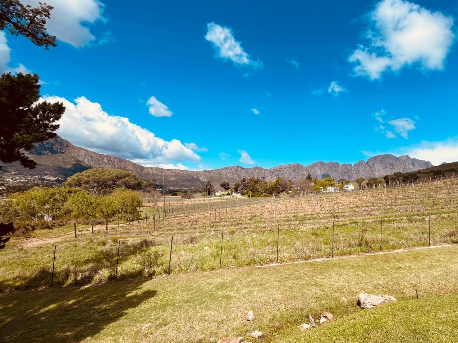 Sugarbee Cottages Franschhoek Exterior photo