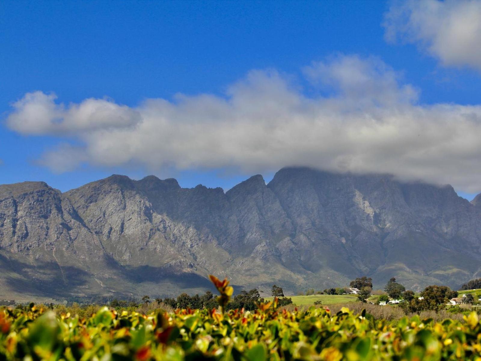 Sugarbee Cottages Franschhoek Exterior photo